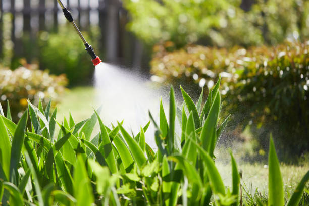 24/7 Emergency Mosquito Control experts in Paw Paw Lake, MI