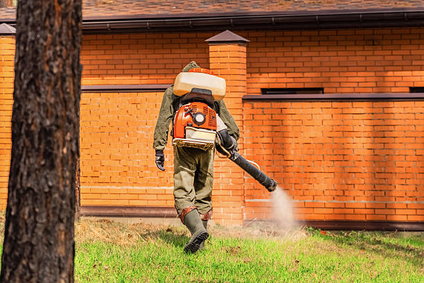 Top rated local Mosquito Control specialists in Paw Paw Lake, MI